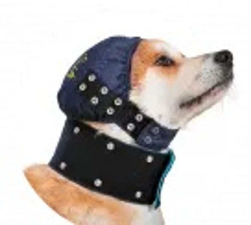 Head Cover
