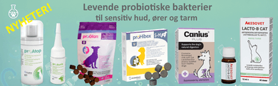 kløe, analkjertler; akutt diare;  diaré