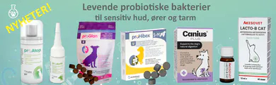 kløe, analkjertler; akutt diare;  diaré